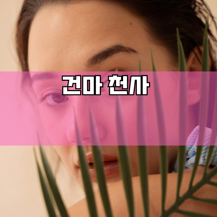 설악면 경기 지역 안내