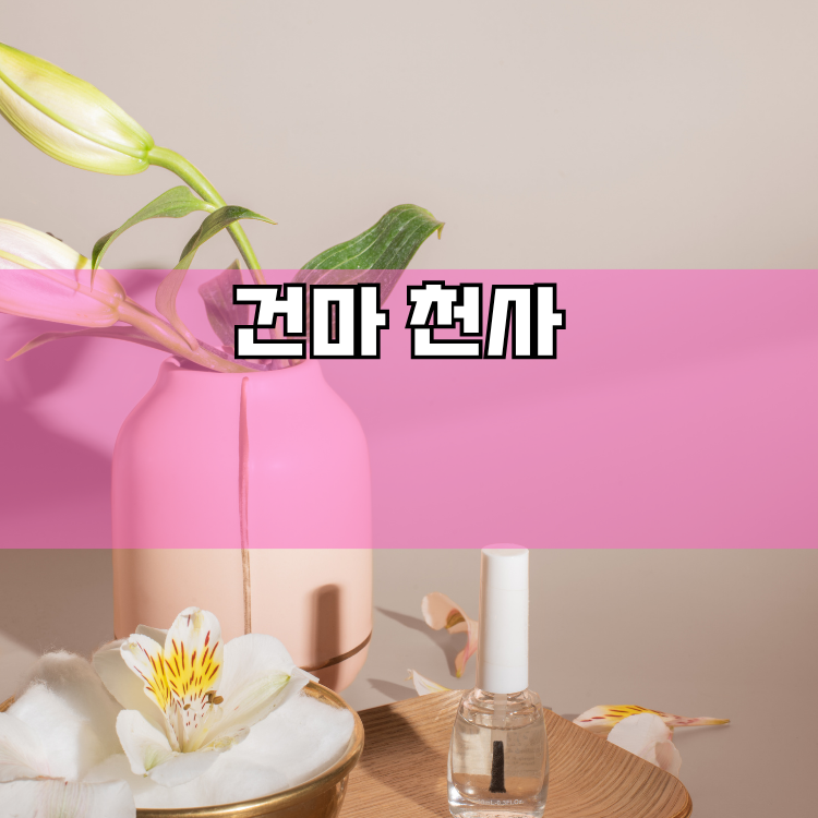 내손1동 경기 지역 안내