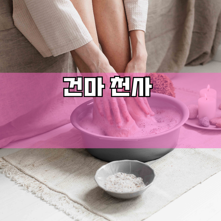 갈매동 경기 지역 안내