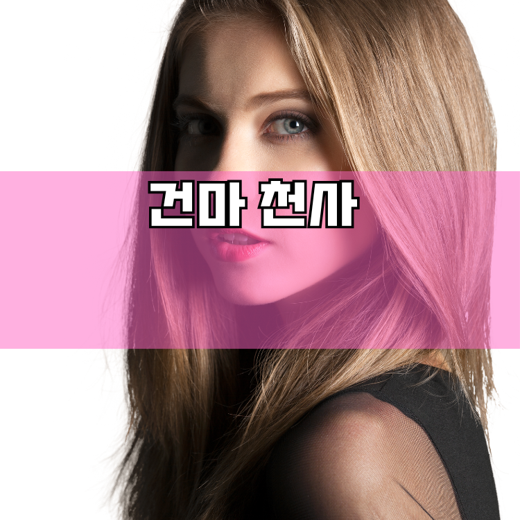 수택3동 경기 지역 안내