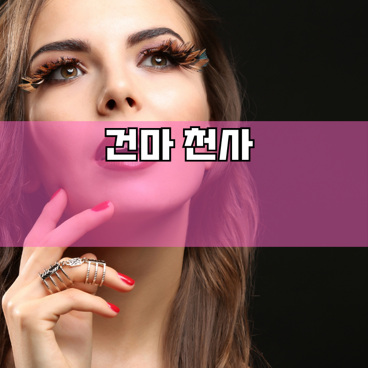 고양시 덕양구 경기 지역 안내
