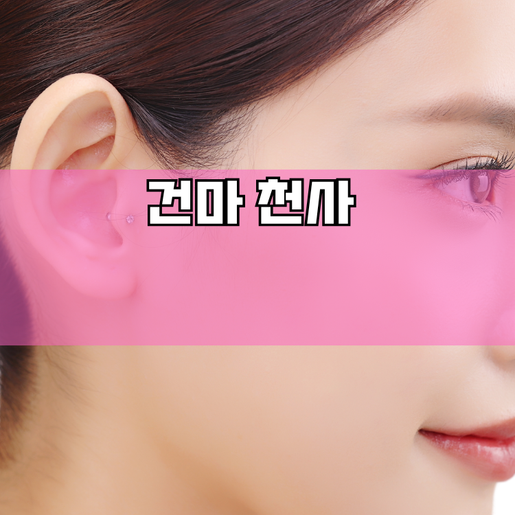 일동면 경기 지역 안내