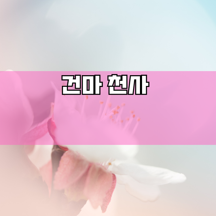 고산동 경기 지역 안내