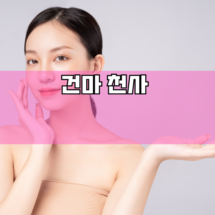 거북섬동 경기 지역 안내
